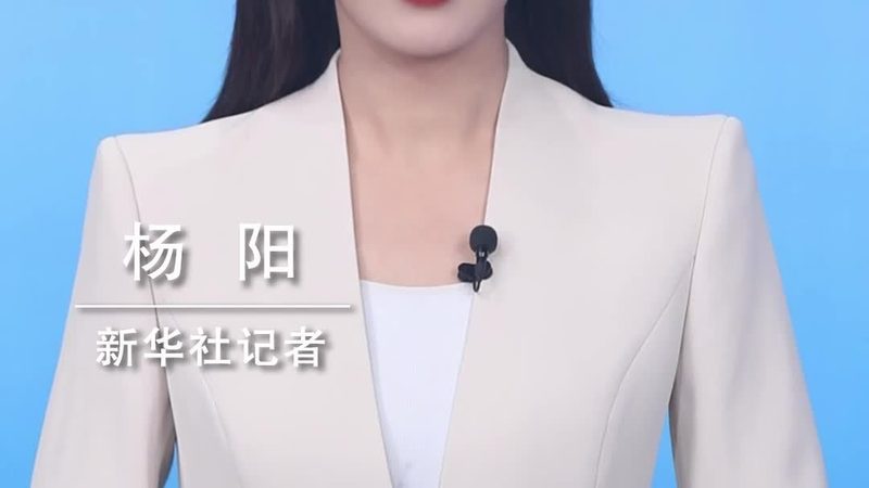 上海机器学习平台：构建高效智能解决方案的关键
